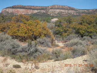 46 951. Coral Pink Sand Dunes State Park