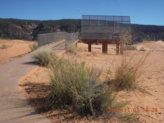 50 951. Coral Pink Sand Dunes State Park