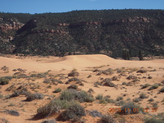 64 951. Coral Pink Sand Dunes State Park