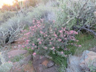 Beth B hike Spur Cross - Beth's pictures