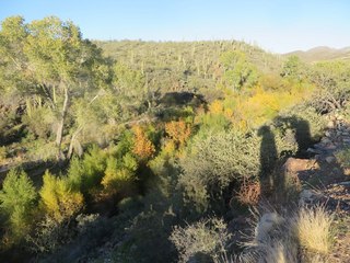 Capitol Steps program - Scottsdale