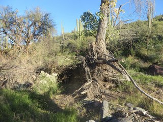 Beth B hike Spur Cross - Beth's pictures