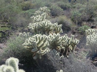 Beth B hike Spur Cross - Beth's pictures