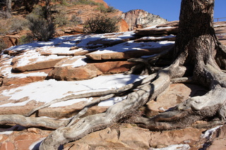 102 972. Zion National Park - Brad's pictures - Angels Landing hike