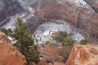 171 972. Zion National Park - Brad's pictures - Observation Point summit