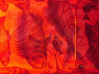 72 98v. Singapore - changing elevator wall