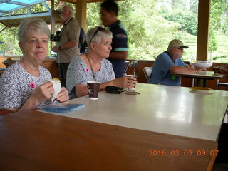 62 993. Indonesia tea plantation