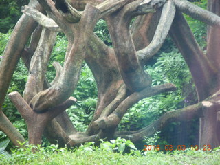 141 993. Indonesia Safari ride