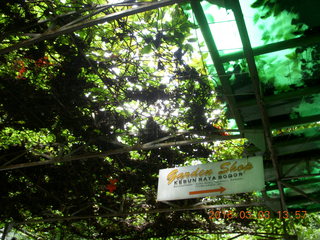 485 993. Indonesia Bogur Botanical Garden