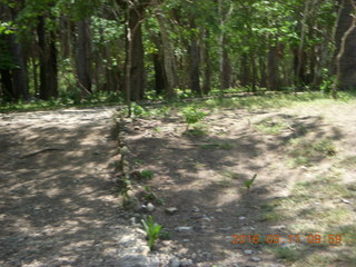 35 99b. Indonesia - Komodo Island