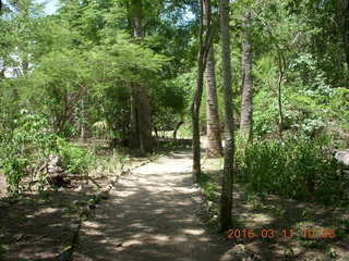 39 99b. Indonesia - Komodo Island