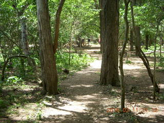 103 99b. Indonesia - Komodo Island