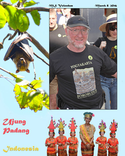 Volendam at sea - Irish Andy editing a picture