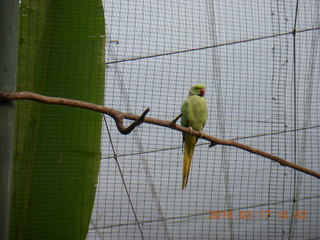 108 99h. Malaysia - Kuala Lumpur - KL Bird Park