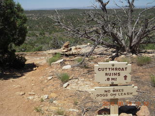180 9ck. Cutthroat Castle hike