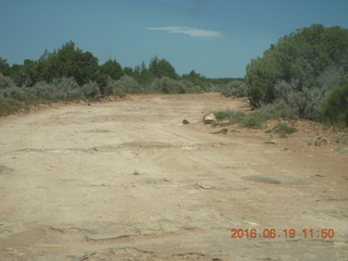 239 9ck. drive to ancient dwellings