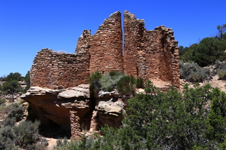 272 9ck. Painted Hand