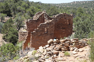 291 9ck. Painted Hand