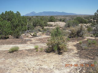 330 9ck. Hovenweep National Monument scenery