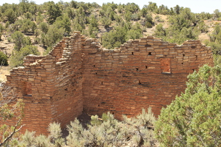 484 9ck. Cutthroat Castle