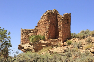 520 9ck. Cutthroat Castle