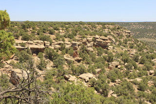 526 9ck. Cutthroat Castle