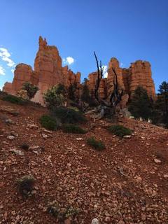 Bryce Canyon weekend - Ana's pictures