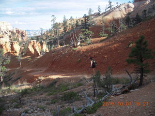 Bryce Canyon - Fairyland hike - Adam