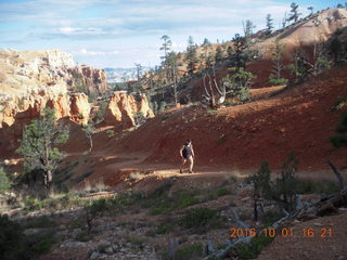 Bryce Canyon - Fairyland hike - Adam