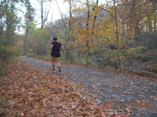 Zeb's dinosaur tour - Adam running