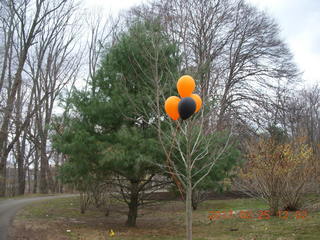Princeton Alumni Day - orange and black balloons