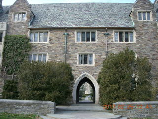 Princeton Alumni Day