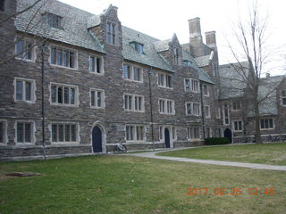 Princeton Alumni Day