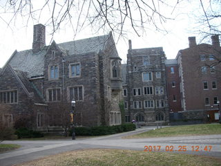 Princeton Alumni Day