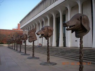 Princeton Alumni Day - Woodrow Wilson School