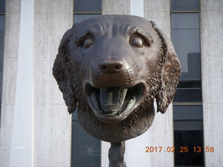 Princeton Alumni Day - Woodrow Wilson School