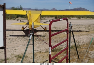 Alamo Lake - Wayside Oasis - Larry J and Mike