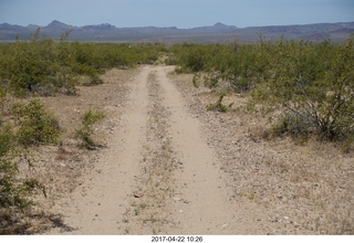 Alamo Lake - Wayside dirt road