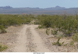 Alamo Lake - Wayside dirt road