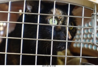 Kendel and my cat Penny and Dr. Krista Gibson