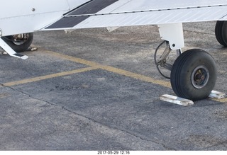 Desert Botanical Garden - Ballet Arizona - dancers before