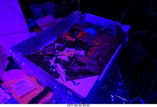 Brenda birthday party - what's left of the cake