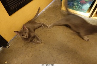 Bratislava, Slovakia - Devin