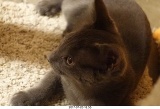 Devin and Luke in N4372J