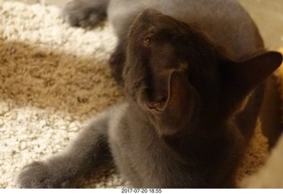 Devin and Luke posing in N4372J