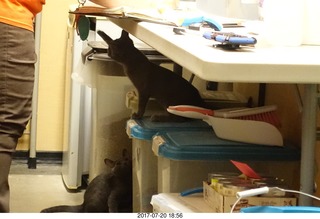 Venetian Hotel -- Sandra and Devin