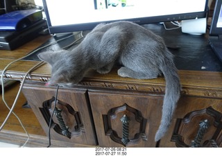 Janet D flying N5452T