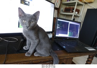 Janet D flying N5254T