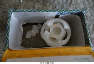 my kitten Devin or Jane