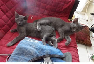 my jade ball from China knocked over by my kitten Devin ) in the box